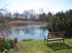 Vintage Colonial with outstanding marsh views